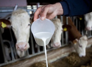 Planirano povećanje novčane podrške za proizvodnju mlijeka kod fizičkih lica u FBiH