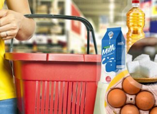 Osnovne životne Namirnice