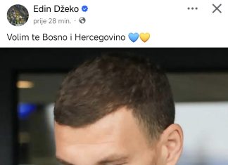 Edin Džeko Status