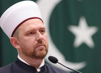 Sumedin Ef. Kobilica