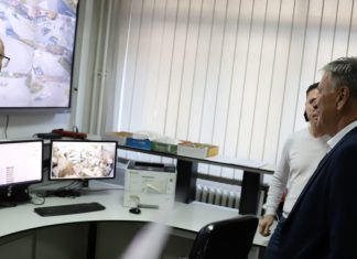 Polish 20251117 142241800