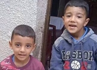 Polish 20251129 183839274