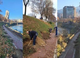 Sadnja Drveca Bulevar Zenica