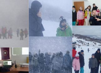 Radio Amateri Signal 26