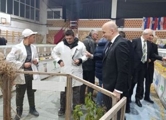 Tešanj Izložba Sitnih životinja 2